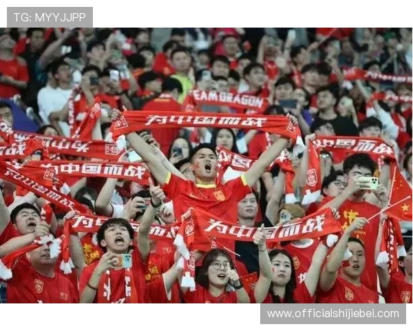 中国足球世界杯期间的精彩瞬间与球迷热情的火热场景