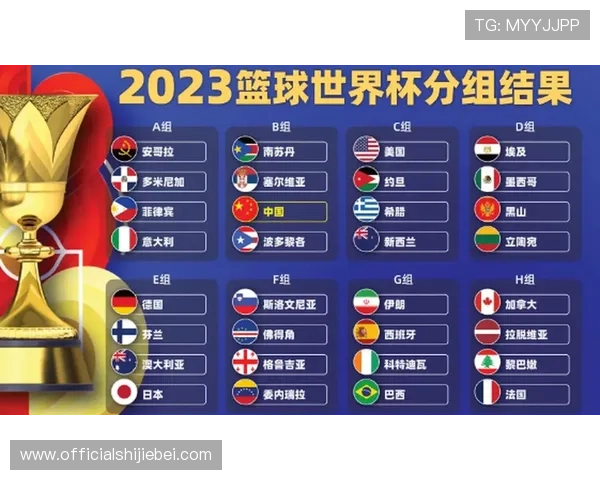 2023年世界杯球队排名榜单全面解析，揭示各国球队实力对比与潜力