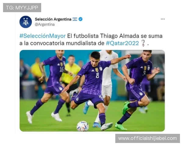 世界杯球队排名榜实时排名表完整版，助你第一时间了解各国球队最新排名情况