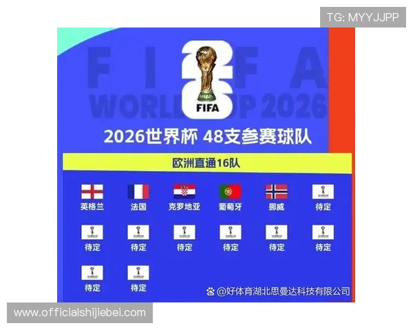 2026年世界杯欧洲区预选赛各国家队最新排名与晋级形势全面分析